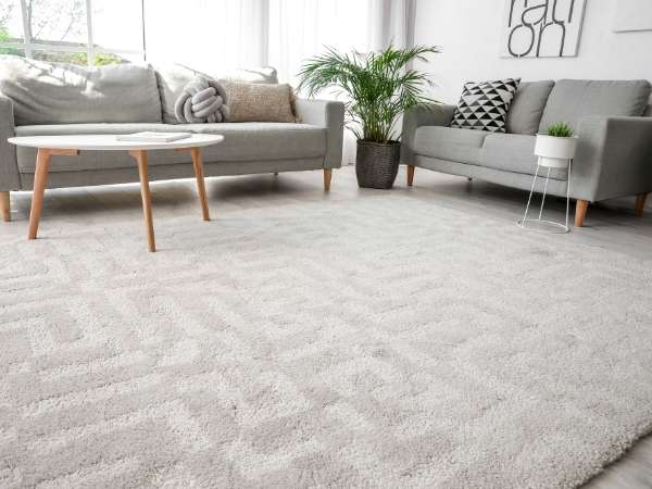 carpet selection for living room