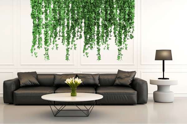 Minimal and Elegant Black sofa living room idea
