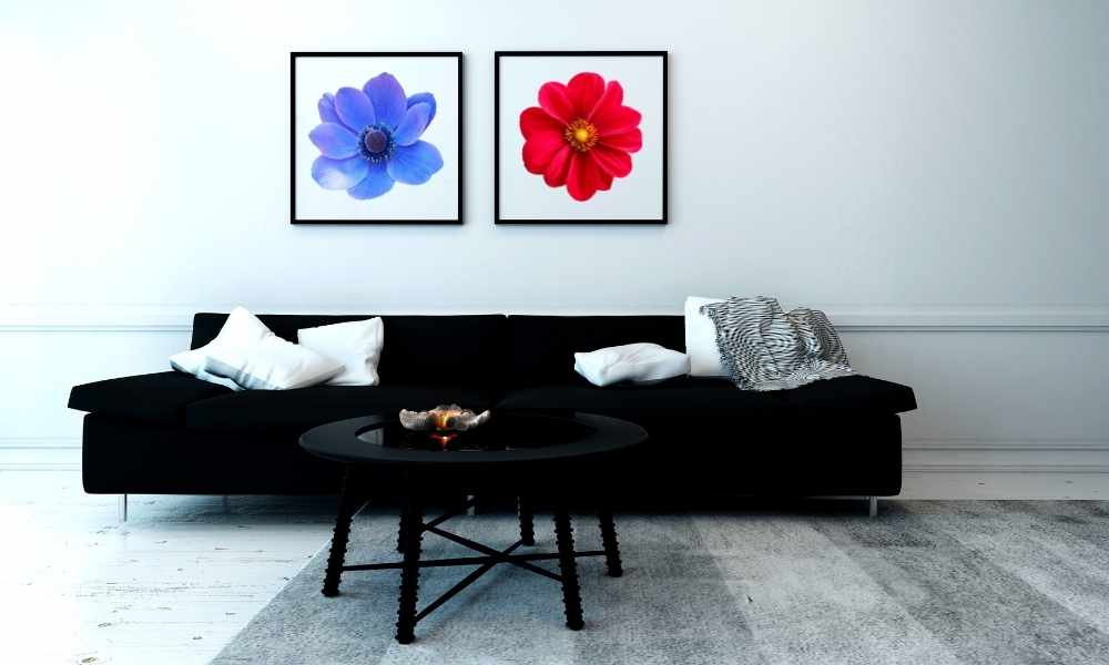 White Colors Go With a Black Sofa Living room
