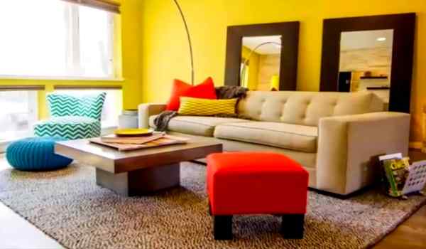How to Choose a Carpet for Living Room choose cheapest option