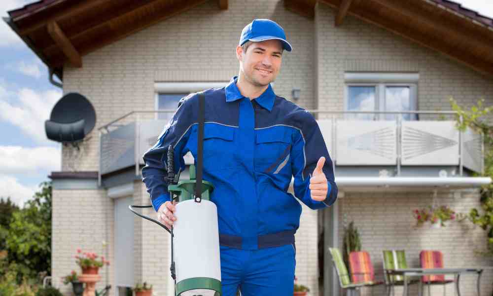 how to deal with pests in your home and find the best pest control ideas
